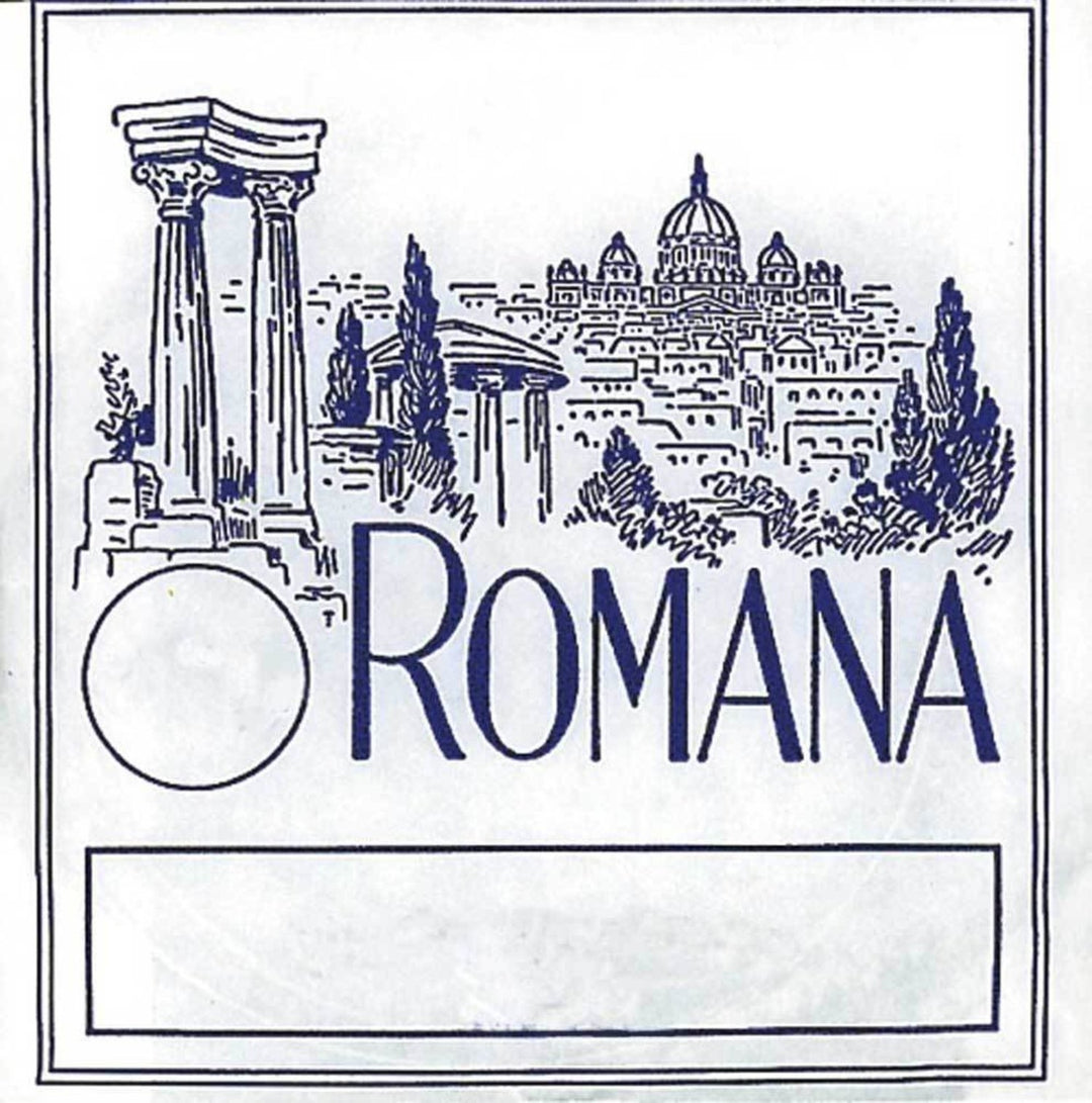 Romana Violines cuerdas - G gut