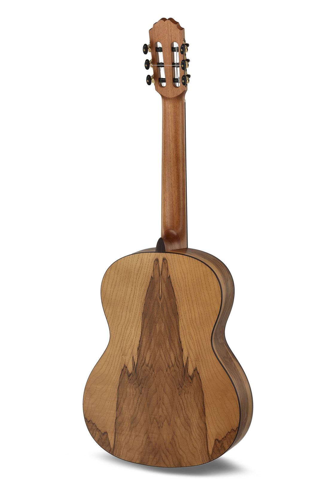 Caballero de MR Serie Principio P Oliva CA-PMO 120 - Oliva (CA-PMO 120)