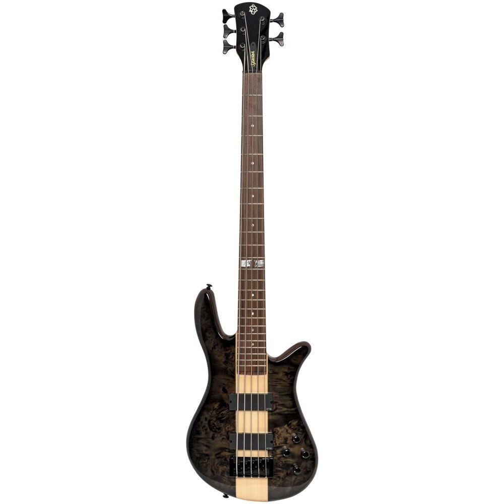 Spector Legend Dan Briggs, Natural Gloss