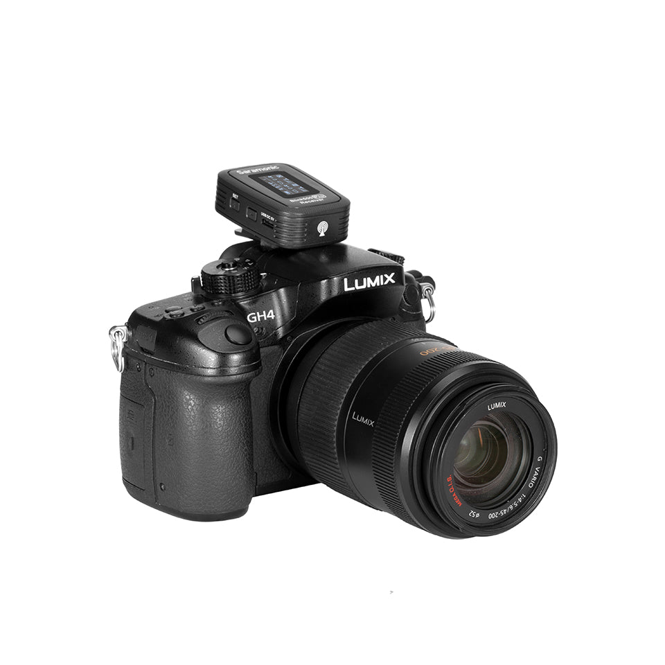 Blink 500 Pro RX Receptor (TRS)