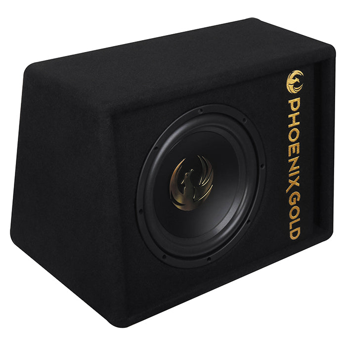 Subwoofer activo Phoenix Gold de 10" con cables y remote
