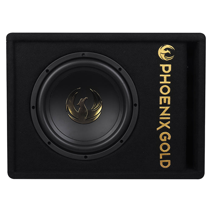 Subwoofer activo Phoenix Gold de 10" con cables y remote