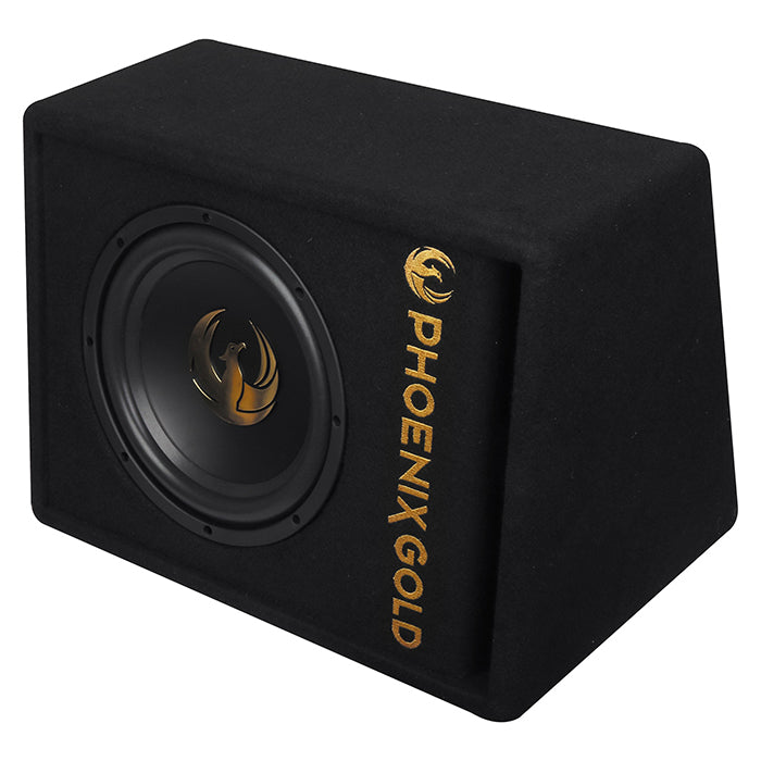 Subwoofer activo Phoenix Gold de 10" con cables y remote