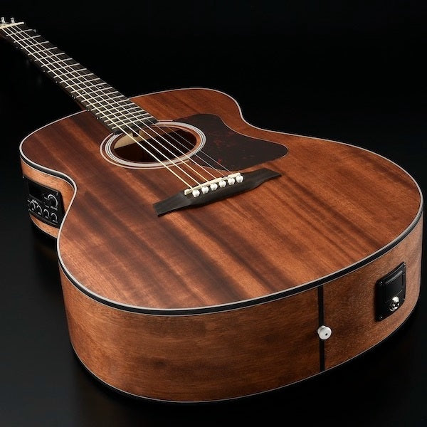 Walden G551EW Guitarras Western (Natural)