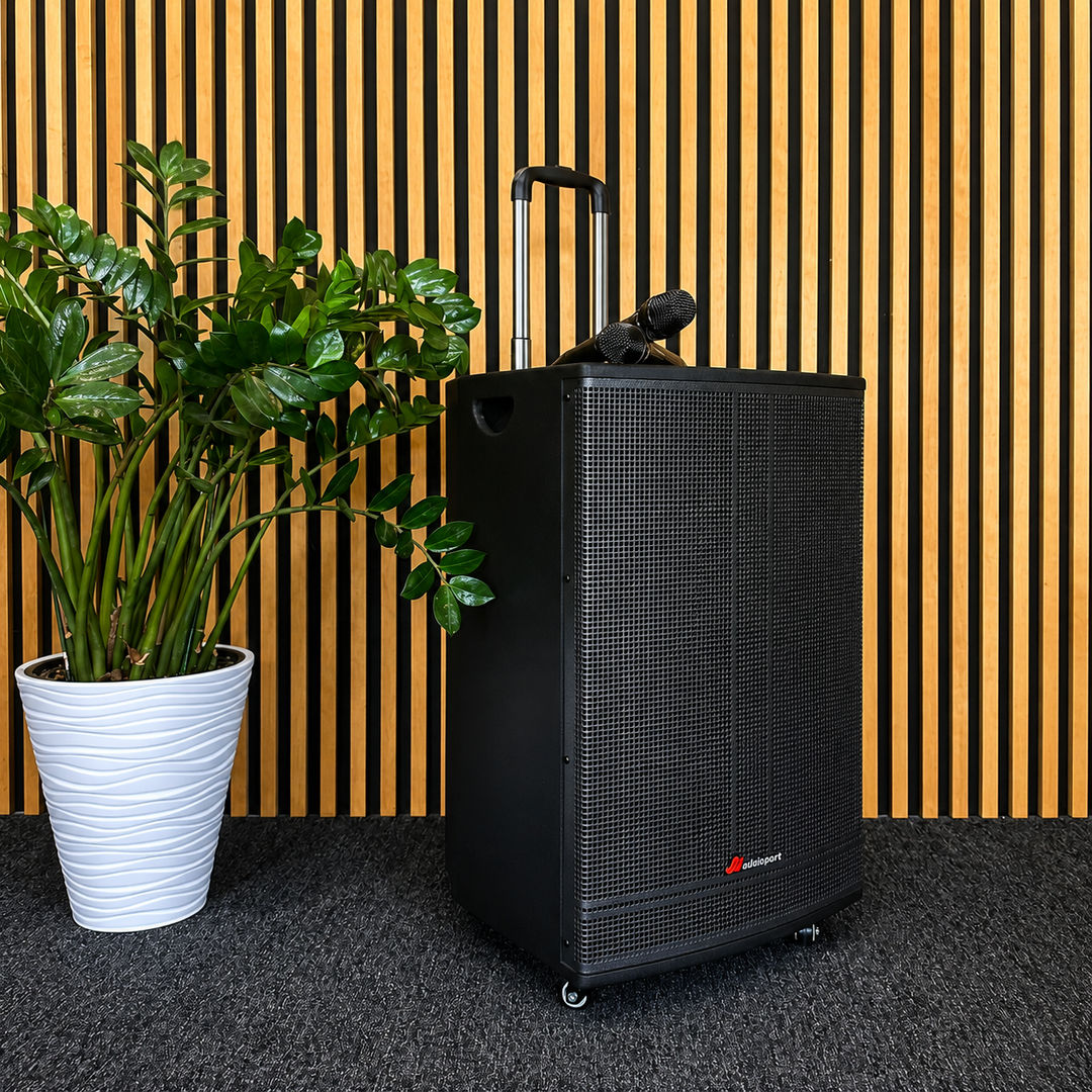 Audioport V15 altavoz activo portátil de 500 W con 2 micrófonos
