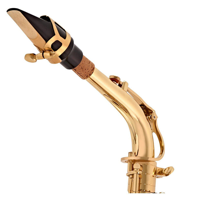 V-TONE AS 100 saxofón alto con juego de funda