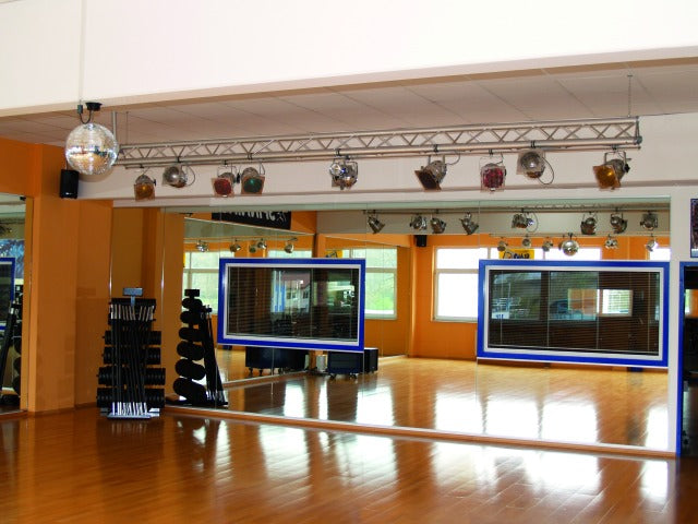 Mirror Ball Motor for (40 cm, 4 kg)