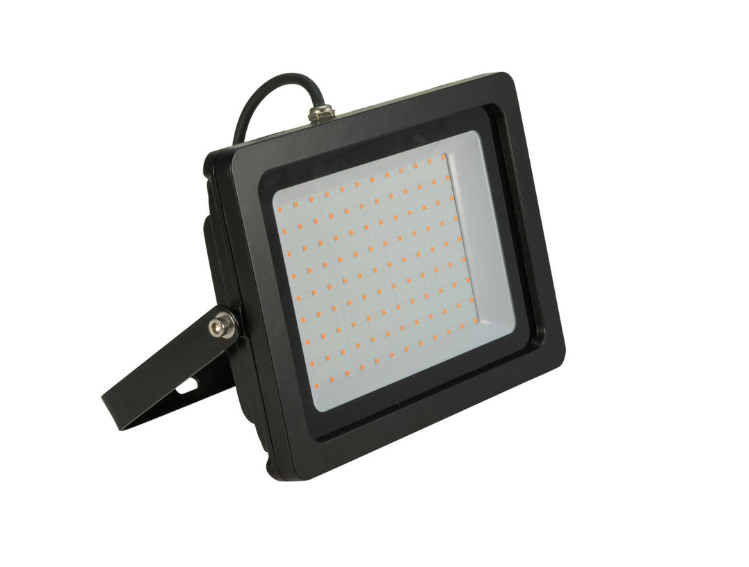 EUROLITE LED IP FL-100 SMD azul