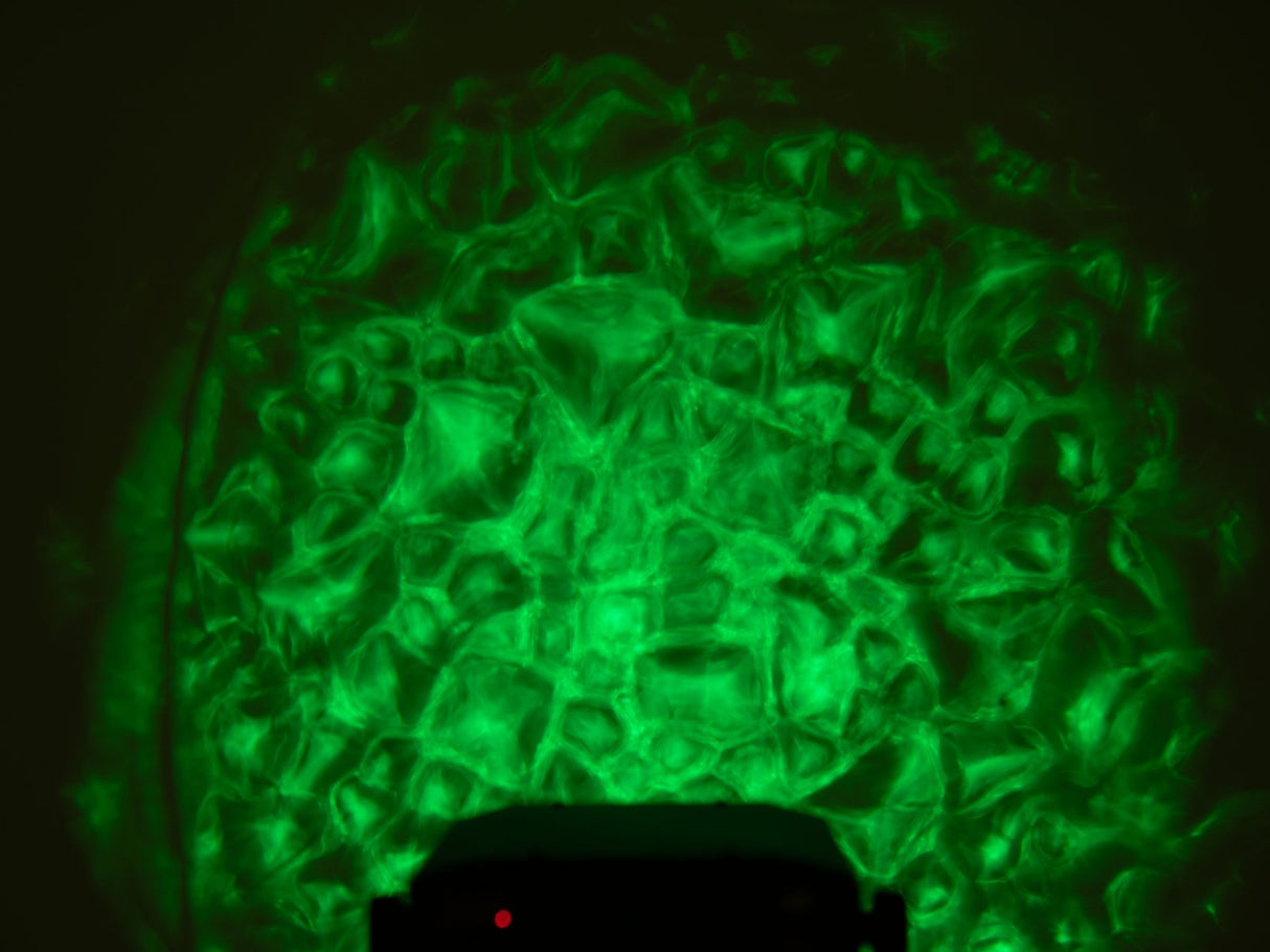 Eurolite WF-30 H2O Effect (DMX)