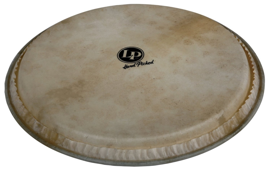 Latin Percussion Parche de djembé Hand Picked - piel de cabra de 12,5" (LP961)