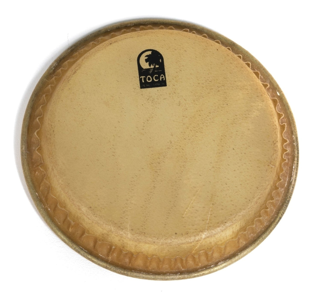 Toca Percusión parche de Batá Drums - 8,5" Large Omele (TP-33009)