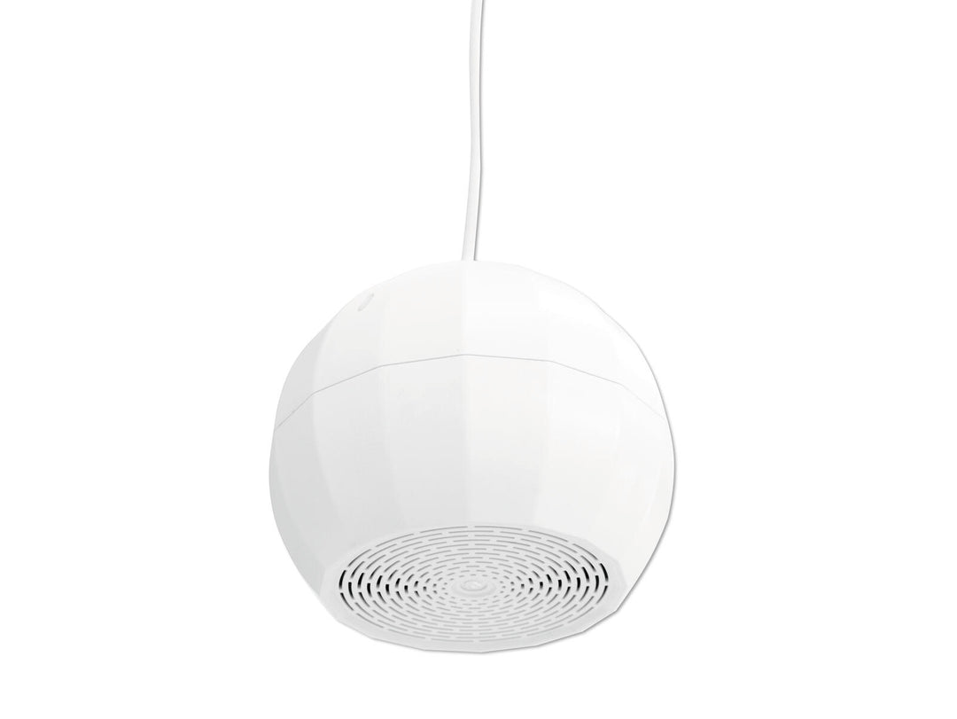 OMNITRONIC WP-2H Altavoz de techo