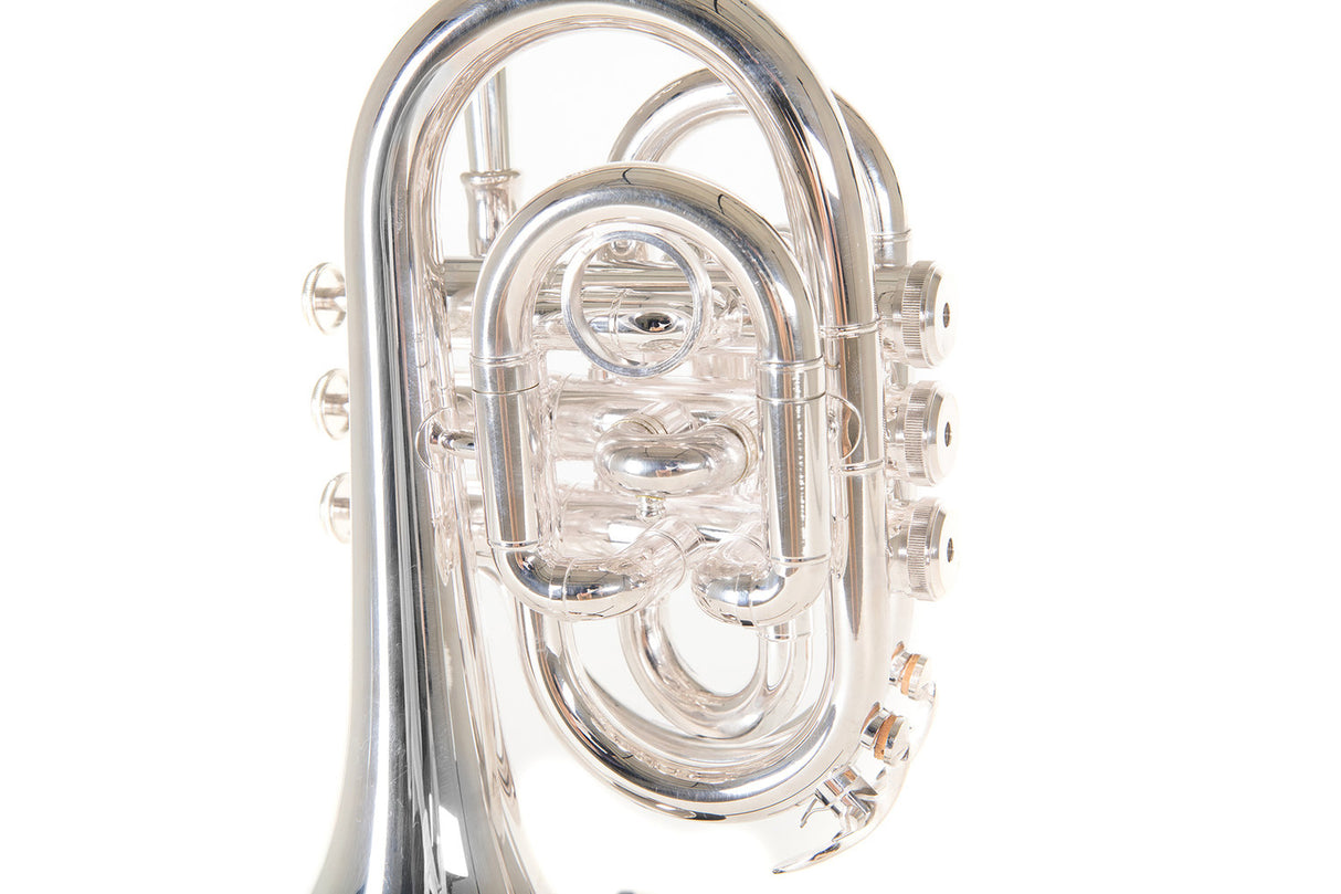 Roy Benson Bb-Pocket trumpet Roy Benson PT-101S - PT-101S