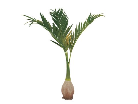 Artificial Phoenix palm 240 cm