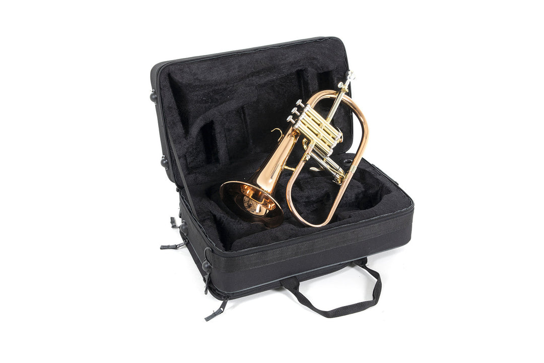 Roy Benson Fliscorno en Sib Roy Benson FH-302G - FH-302G