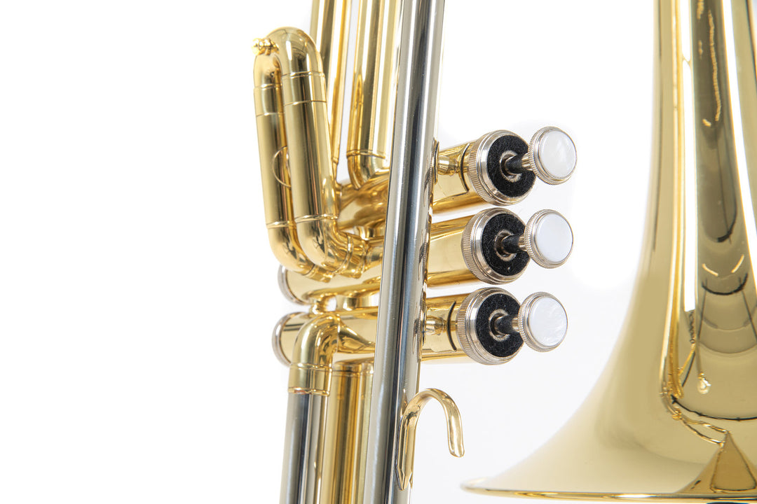 Roy Benson Trombón de válvulas Bb Roy Benson VT-227 - VT-227