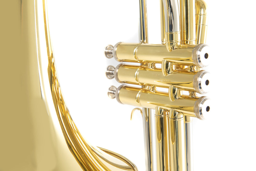Roy Benson Trombón de válvulas Bb Roy Benson VT-227 - VT-227