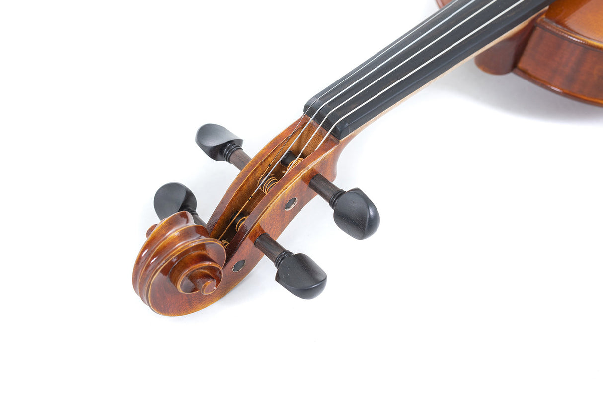 GEWA Violin Maestro 1 - 4/4 (Ready to play incl. GEWA Bio violin case, GEWA Baron bow and Il Cannone strings)