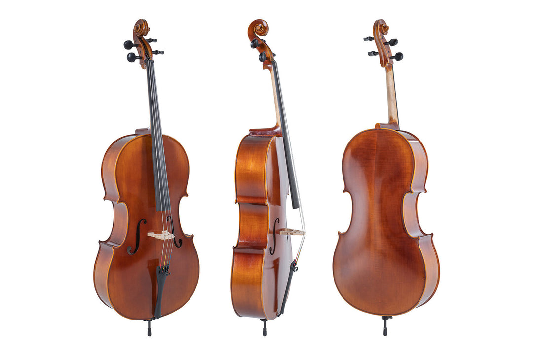 Violonchelo GEWA Allegro - 4/4 (Listo para tocar, incluye bag, arco de carbono, cuerdas Larsen Aurora, asegurado para el transporte)