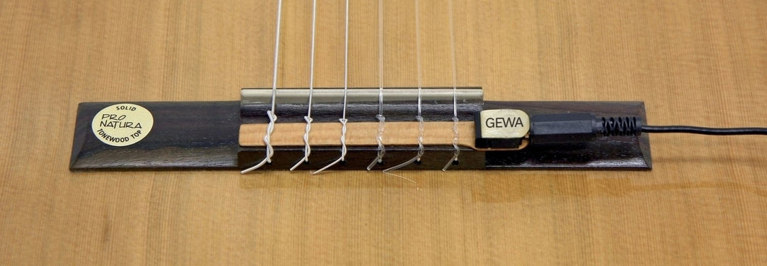Pastilla acústica GEWA F&S Classic guitarras CG-1 - Guitarra clásica
