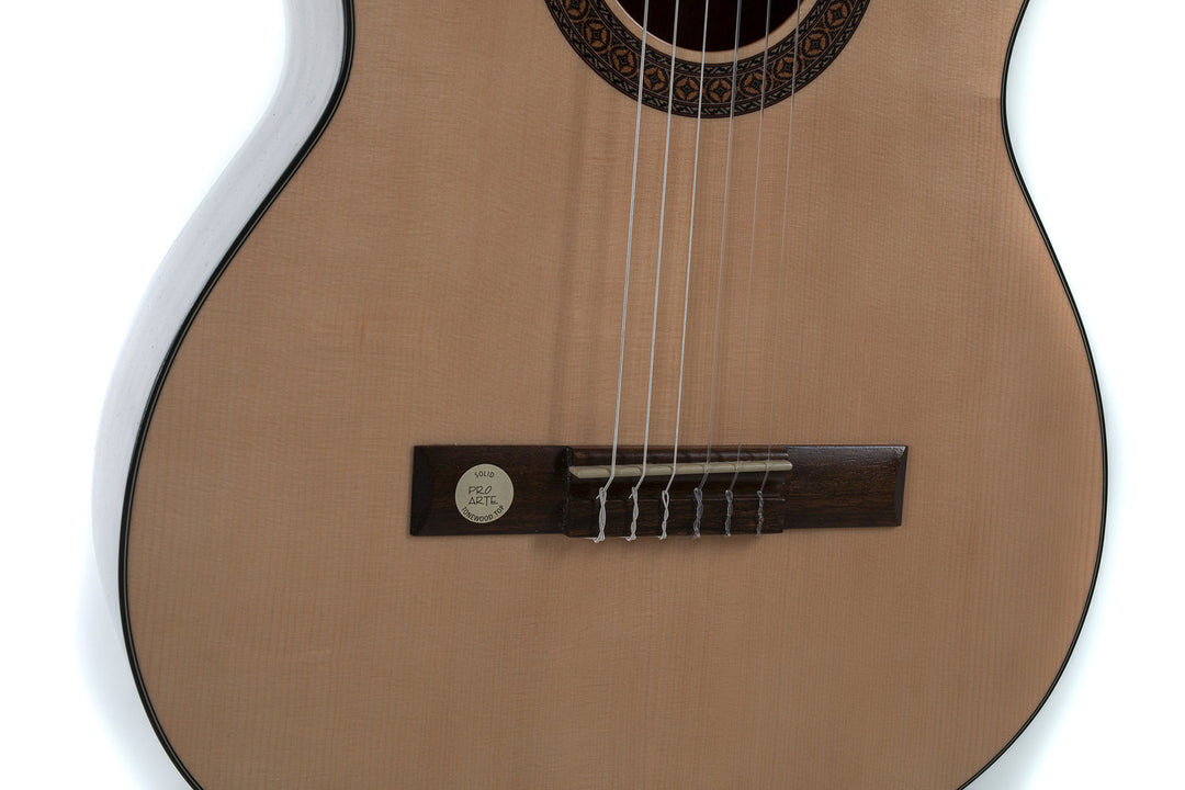 GEWA Guitarra clásica Pro Arte GC 210 A - tamaño 4/4