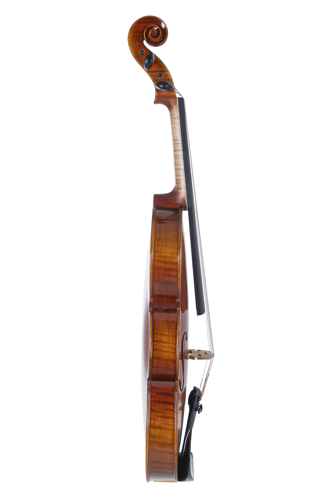 GEWA Violines Maestro 1 - 3/4 (Listo para tocar incl. estuche de violines, arco de carbono y cuerdas Larsen Aurora)