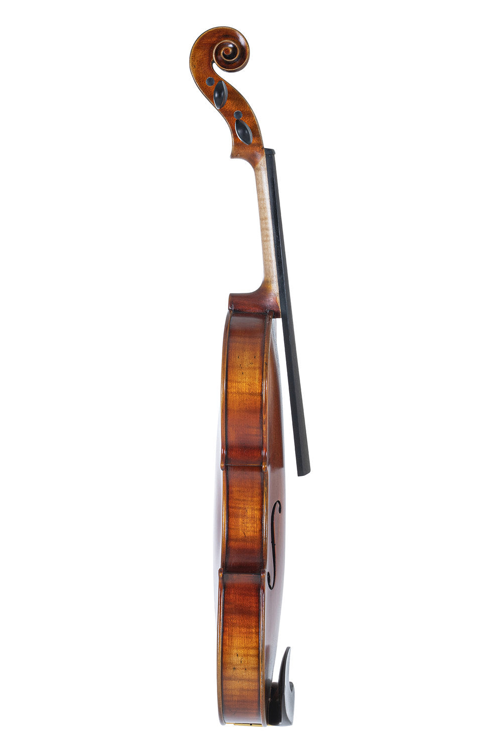 GEWA Maestro 2 violín 3/4, sin montaje, con estuche moldeado