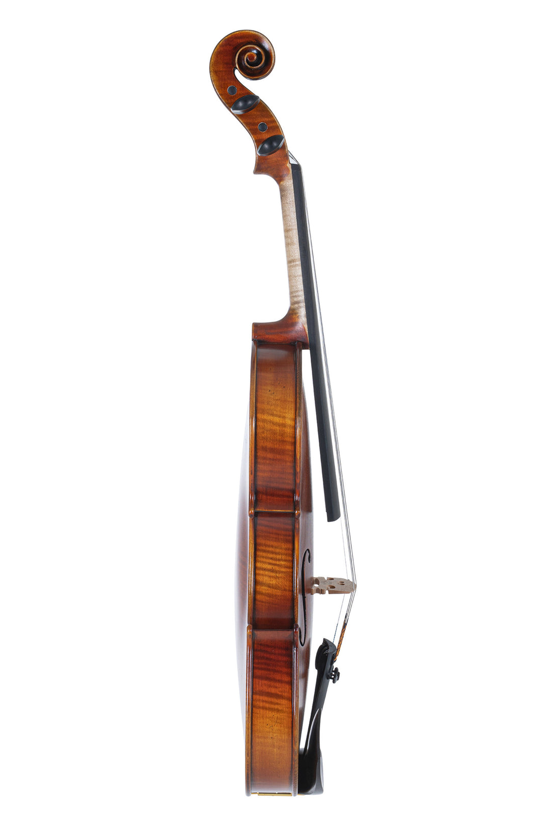 GEWA Violin Maestro 2 - 3/4 (Listo para tocar, incluye case para violín, sin arco, con cuerdas Larsen Aurora, protegido para el transporte)