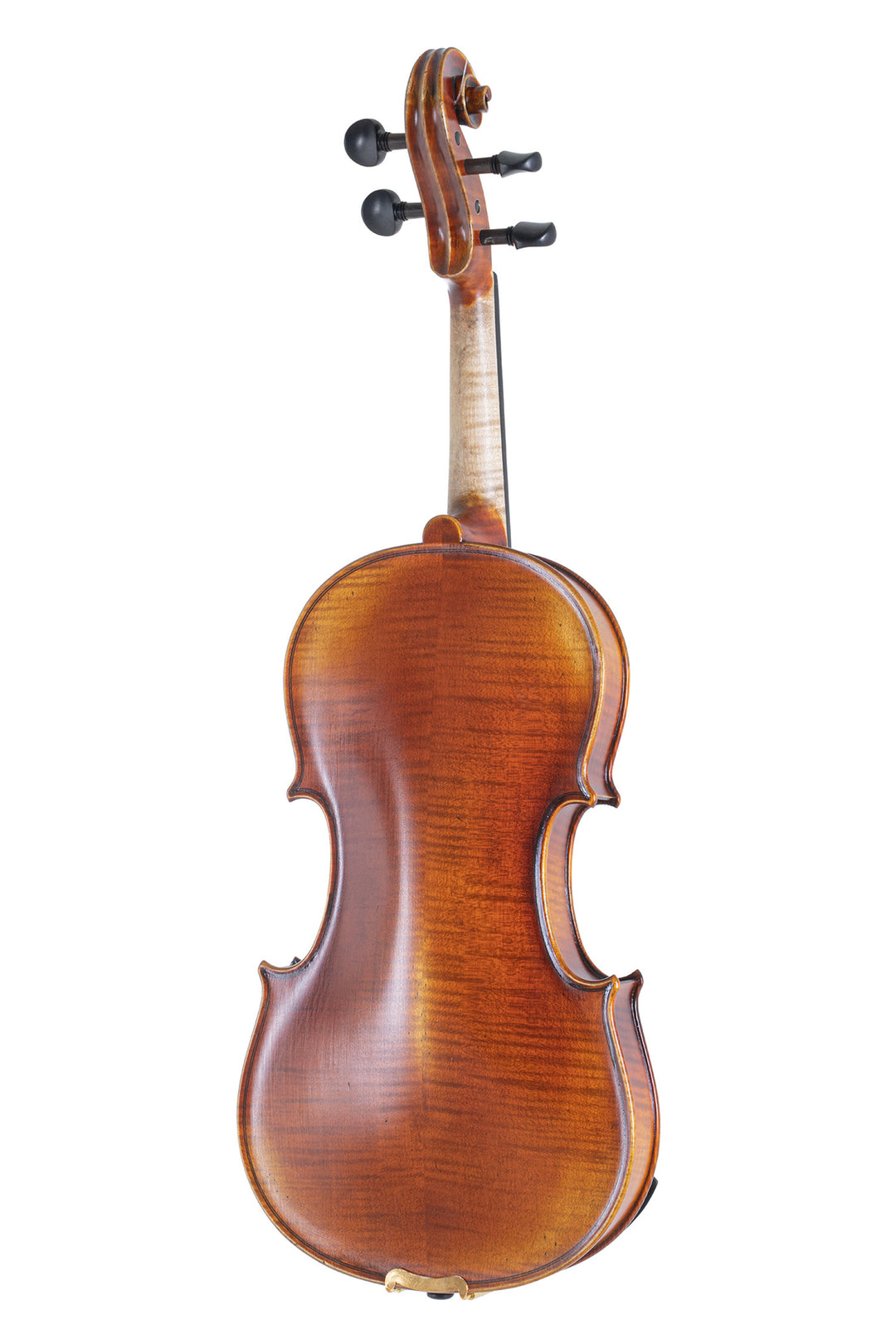 GEWA Violin Maestro 2 - 1/2 (Listo para tocar, incluye estuche moldeado, sin arco, con cuerdas Larsen Aurora, protegido para el transporte)