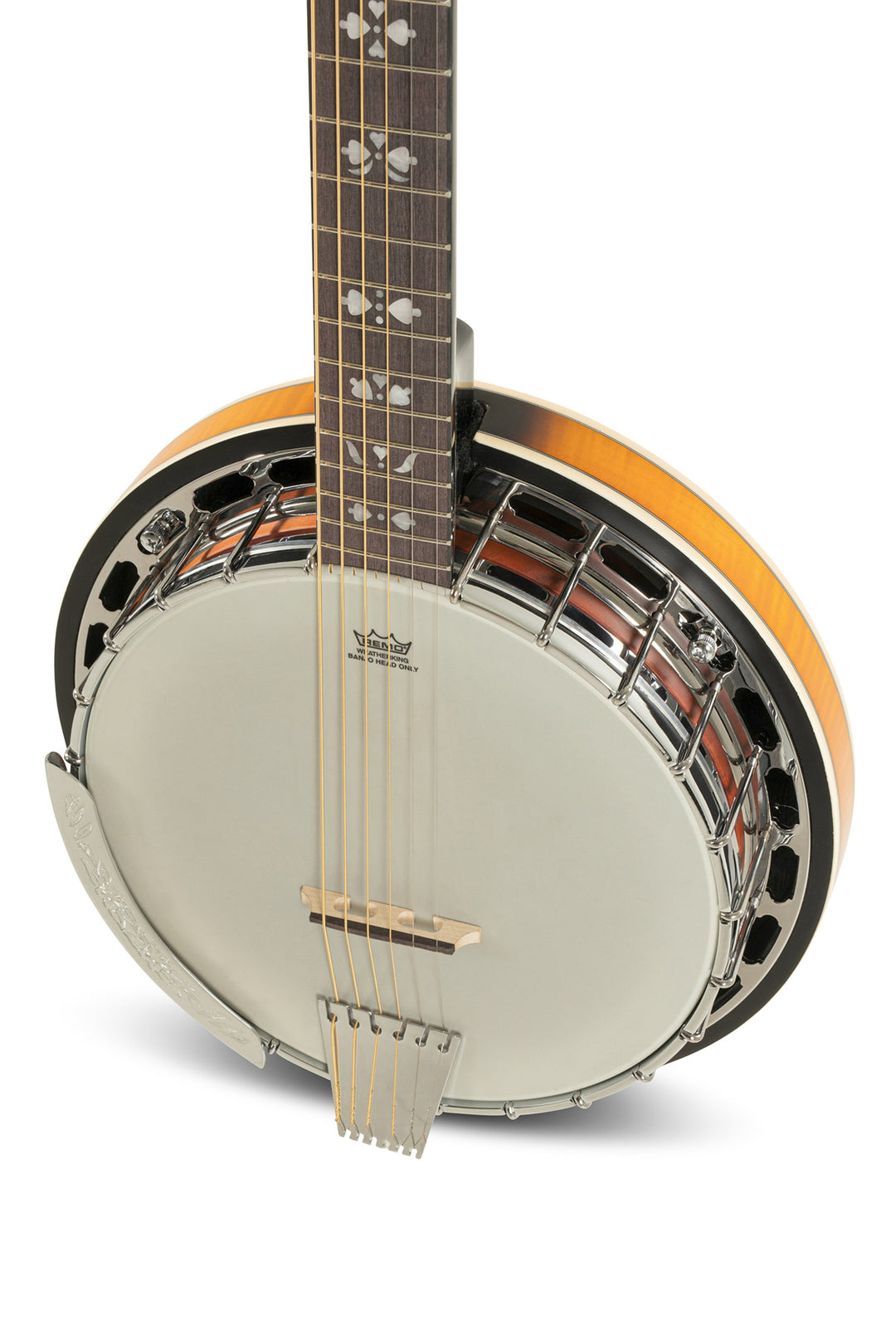 GEWA Banjos Premium - 6 cuerdas (con estuche)