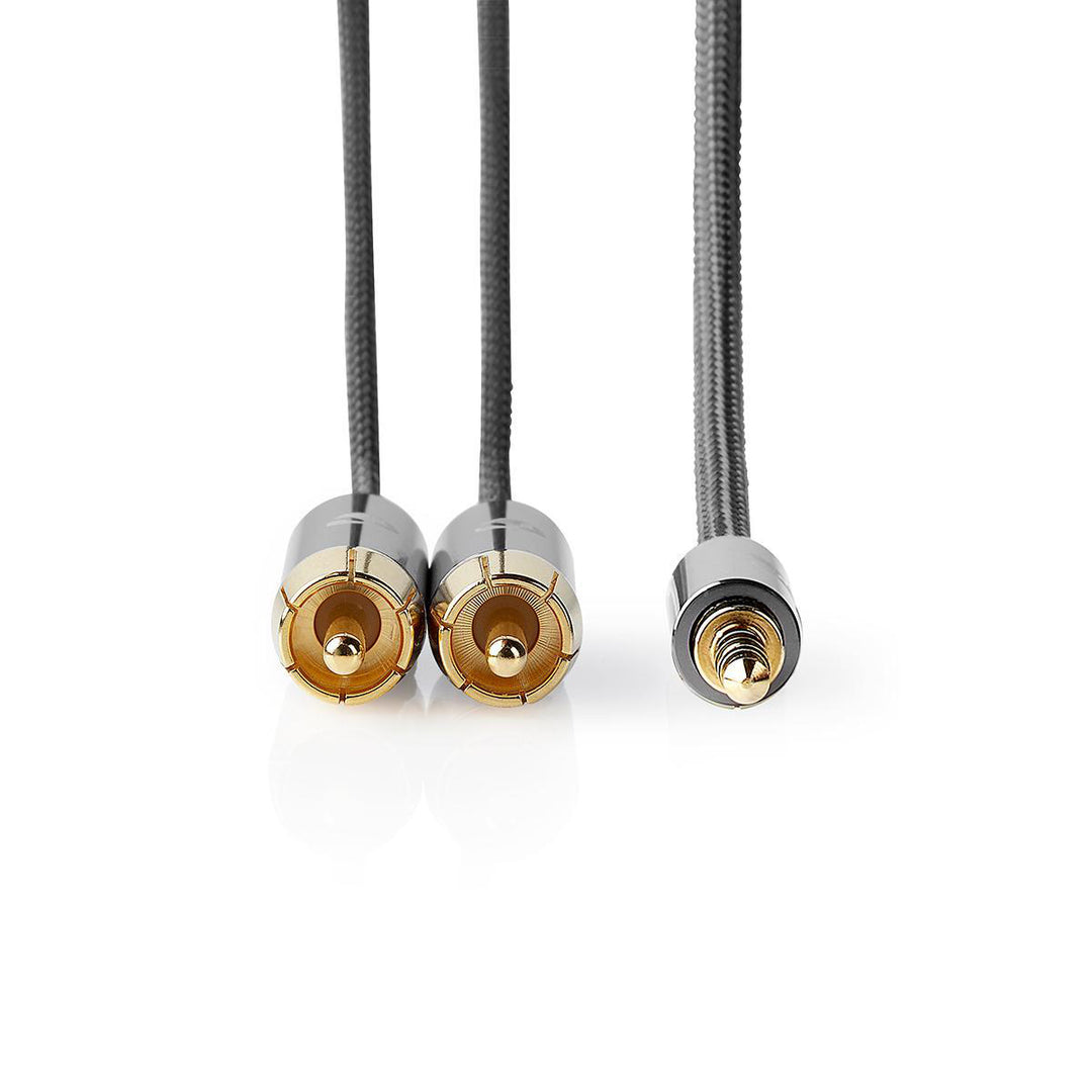 Premium StereoRCA a minijack (1m)