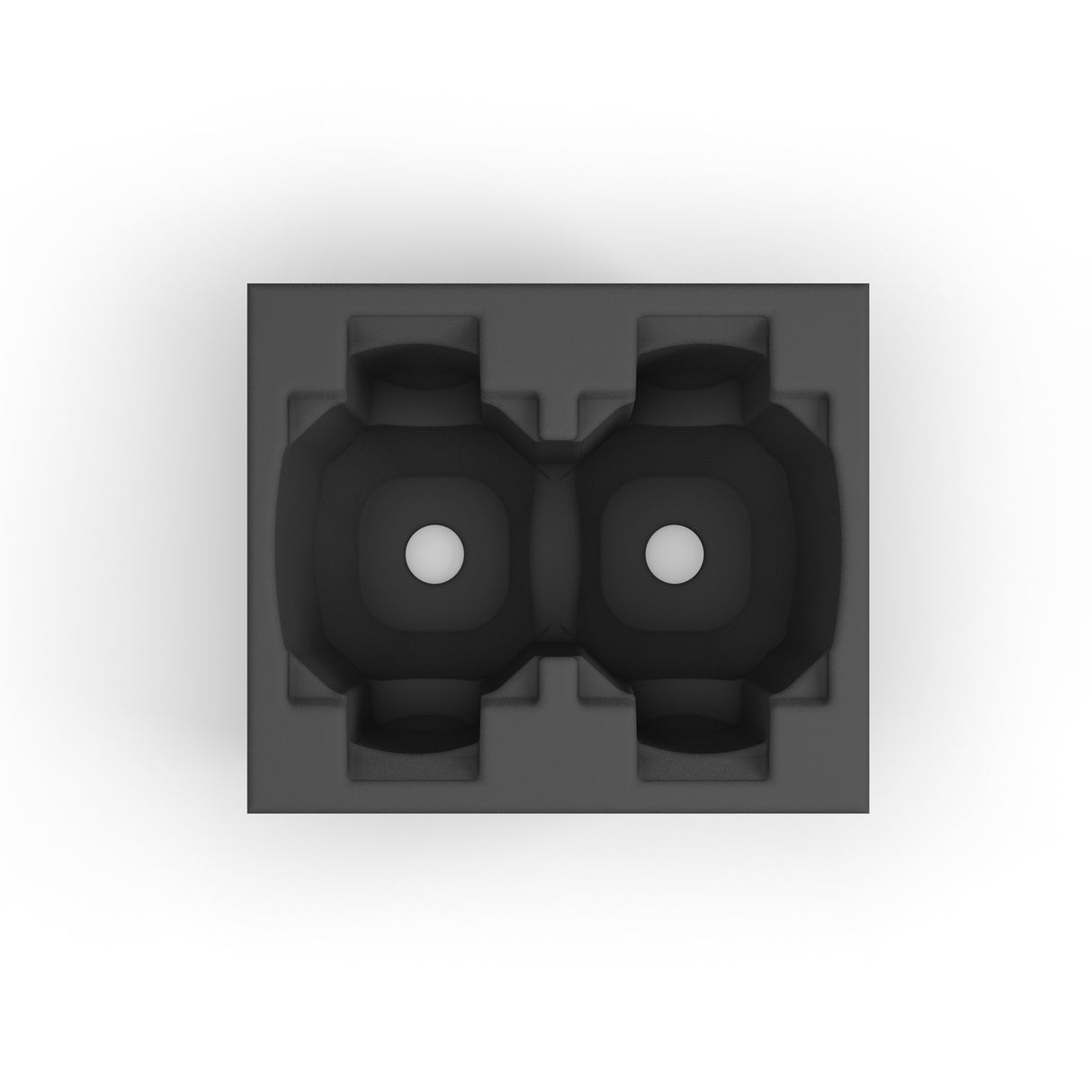 Cameo AURO® SPOT Z300 INDSATS - Inserto de espuma para maleta para 2 x CLASZ300