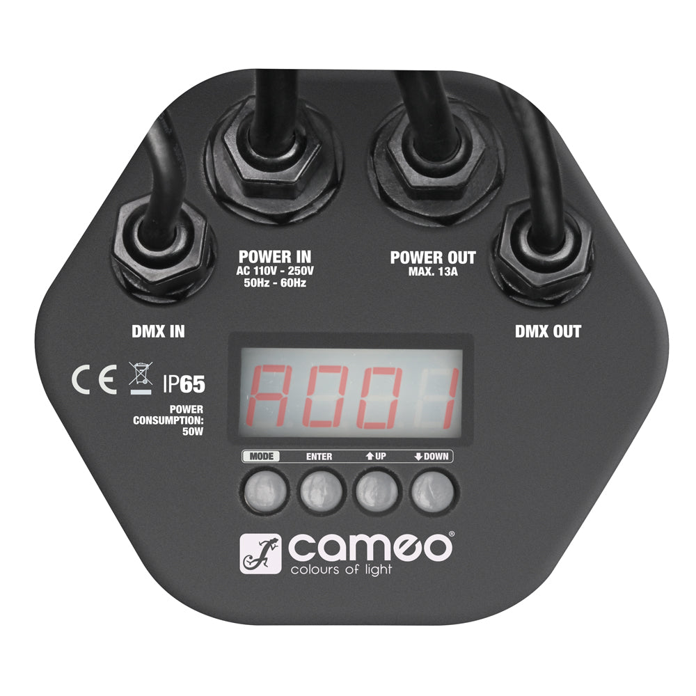 Cameo Outdoor PAR 12x3W RGB IP65
