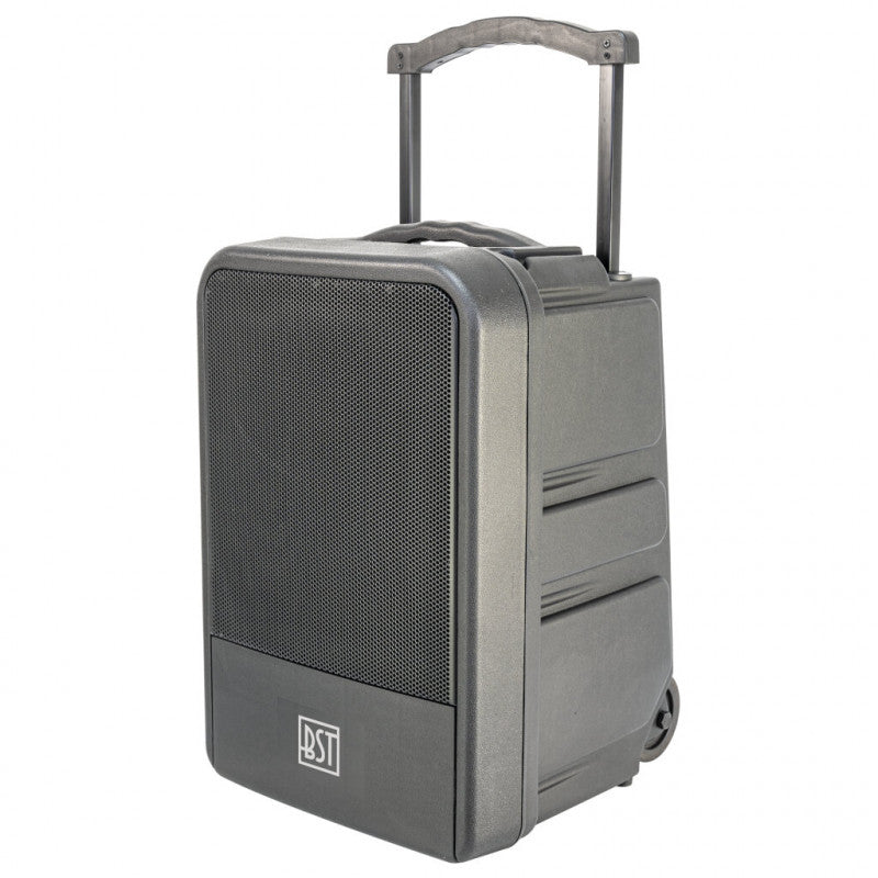 BST IPS10 "All-weather" festival speaker