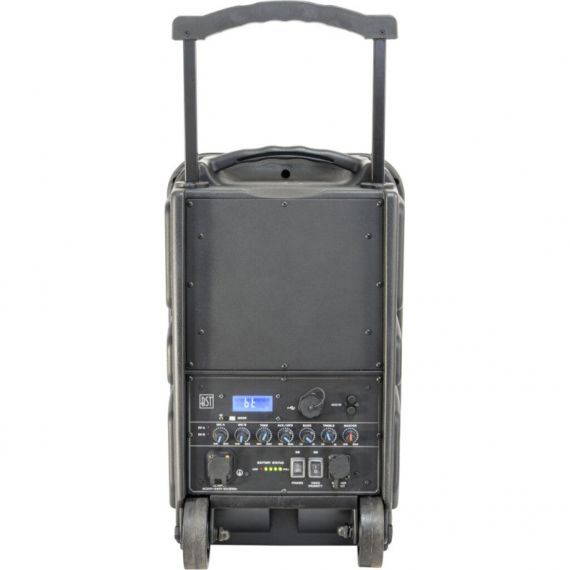 BST IPS10 "All-weather" festival speaker