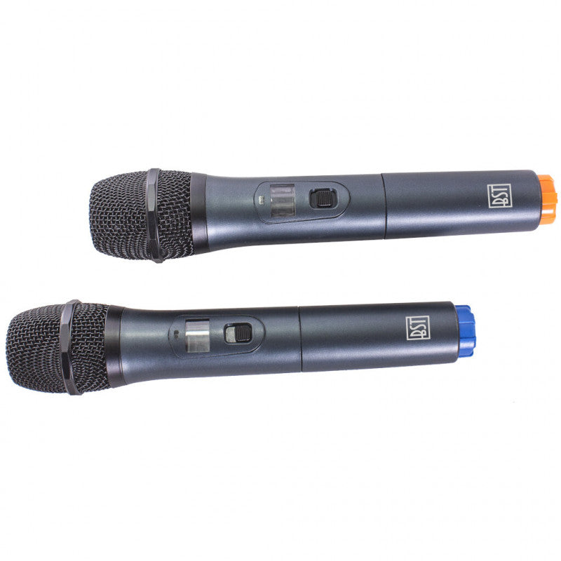 BST IPS10 "All-weather" festival speaker