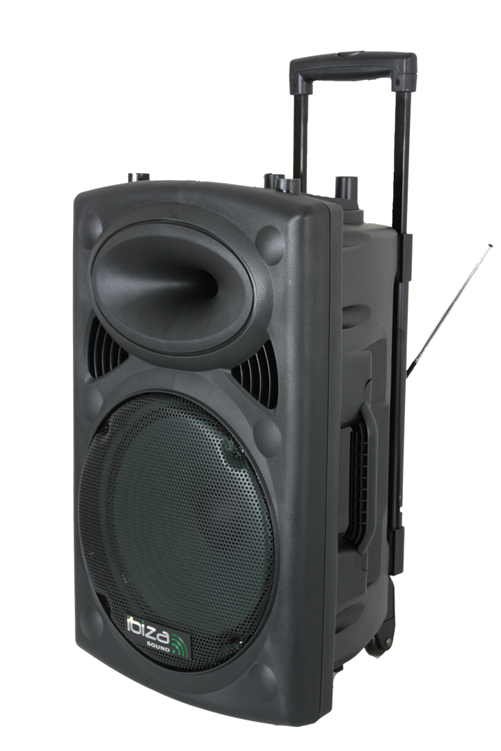 Ibiza Altavoz Portátil con 15" Bajo (Negro, 800W)