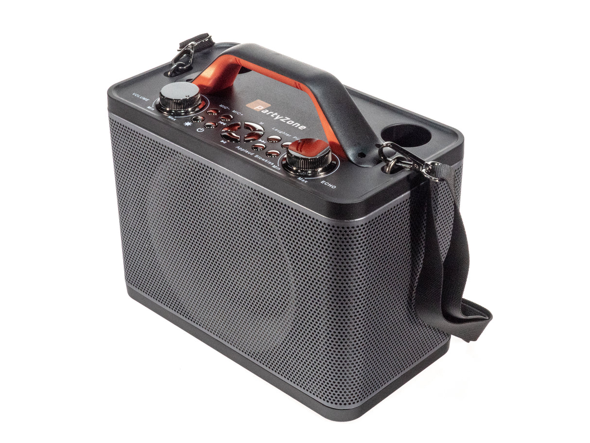 Karaoke anlæg med 2 mikrofoner (Sort)