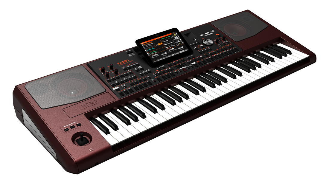 Korg PA-1000 Teclados (Bordeux)