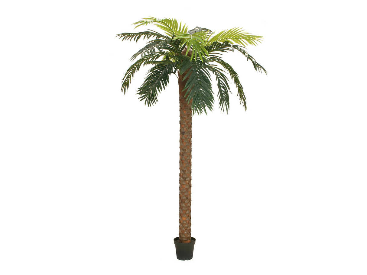 Artificial Phoenix palm deluxe, 250cm