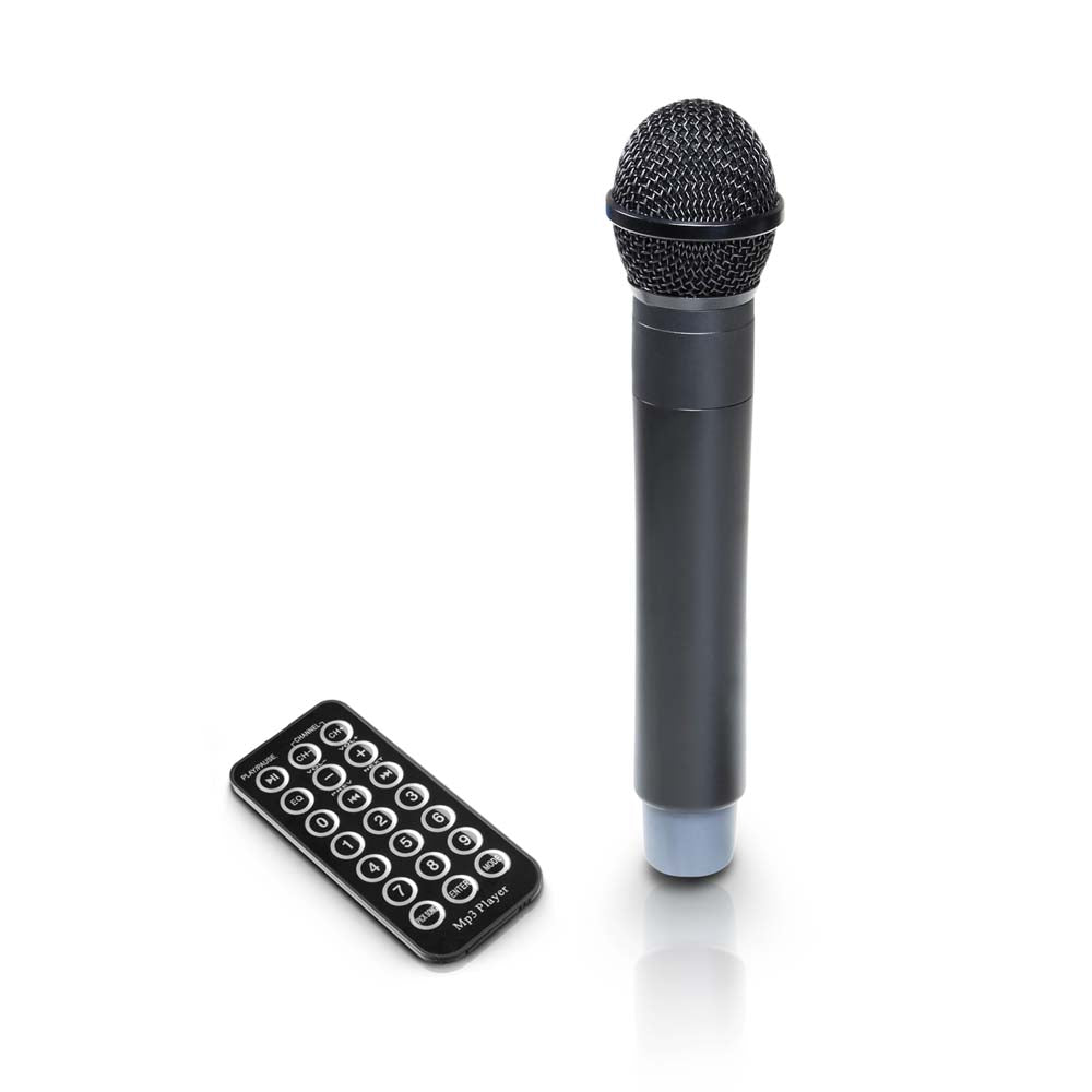 LD Systems Road Buddy 10