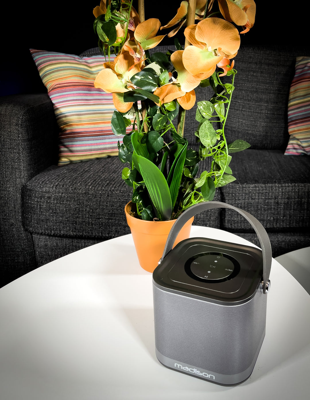 Madison Altavoz WiFi inalámbrico