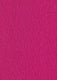 Pink Runner (2 x 50 meters)