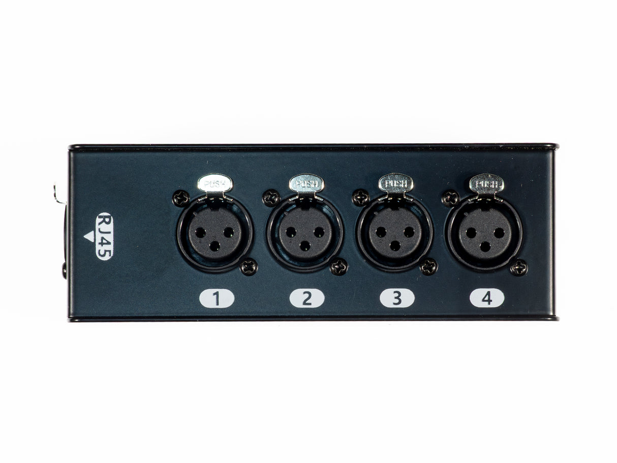 Perfex Cat Snake Box (Hembra)