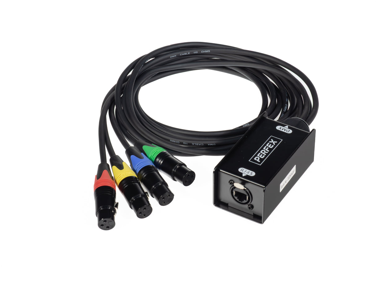 Perfex Cat Snake (Hembra)