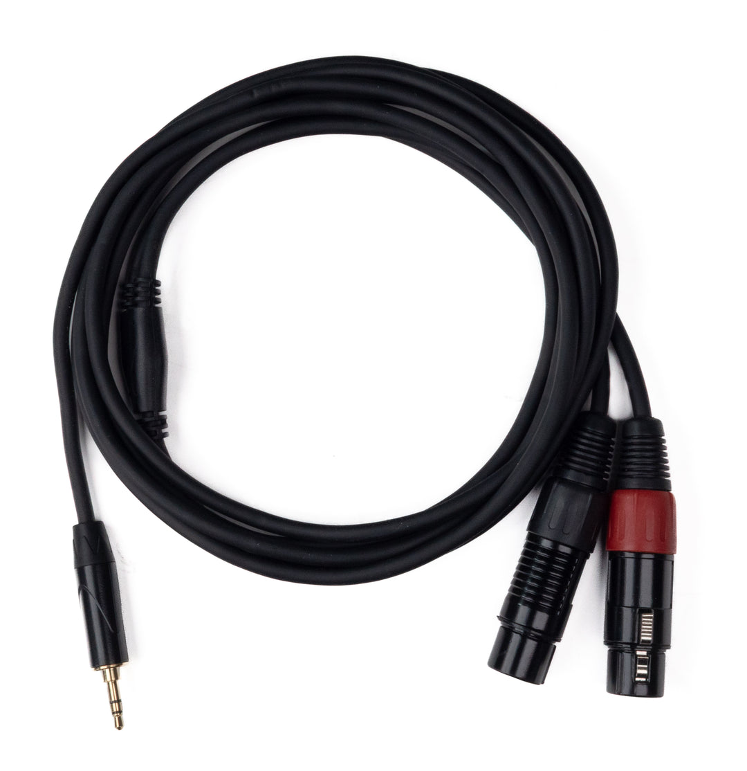 MINIJACK 3,5mm TRS Macho a 2x XLR Hembra (3m)