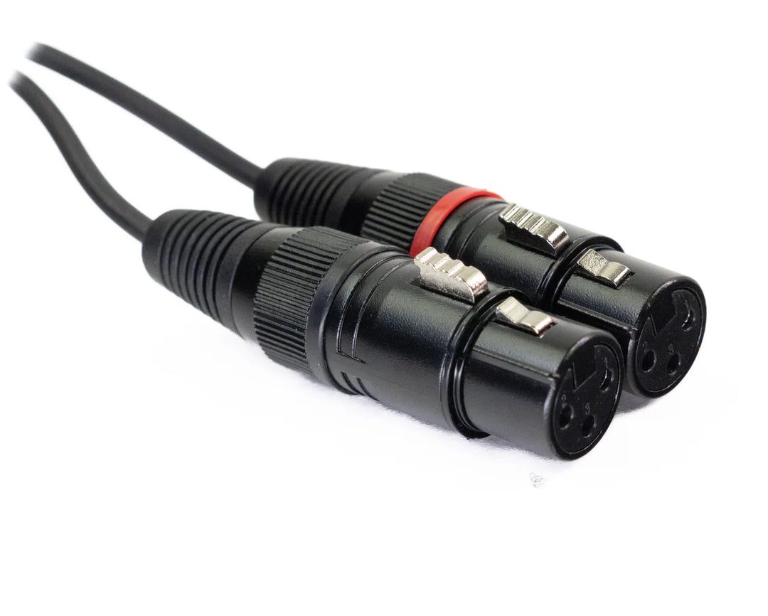 MINIJACK 3,5mm TRS Macho a 2x XLR Hembra (3m)