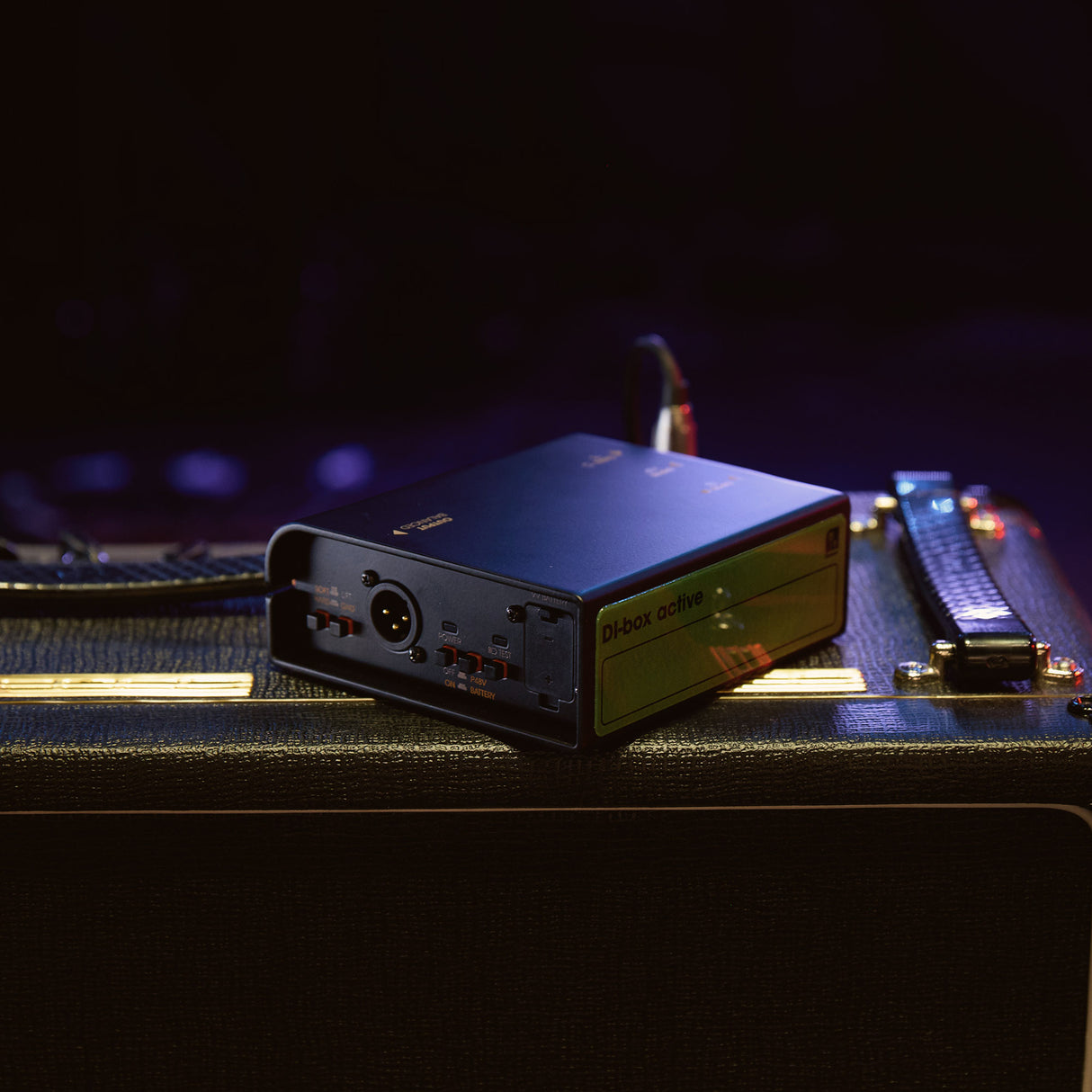 Palmer RIVER-model – caja DI activa