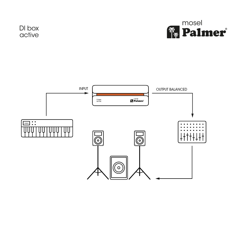 Palmer RIVER-model – caja DI activa