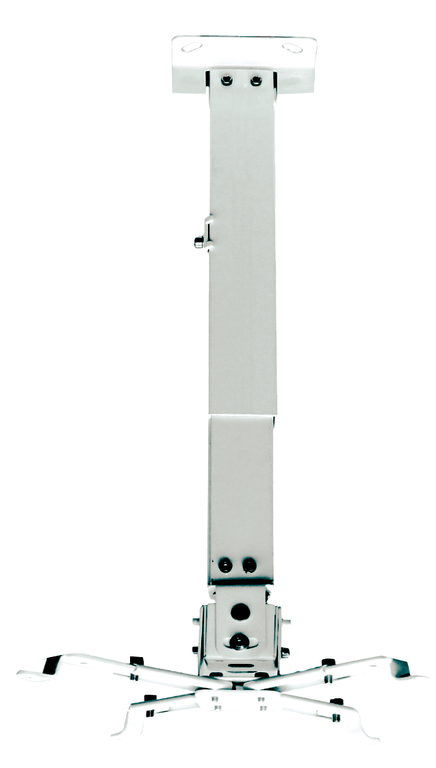 Ceiling mounted projector mount